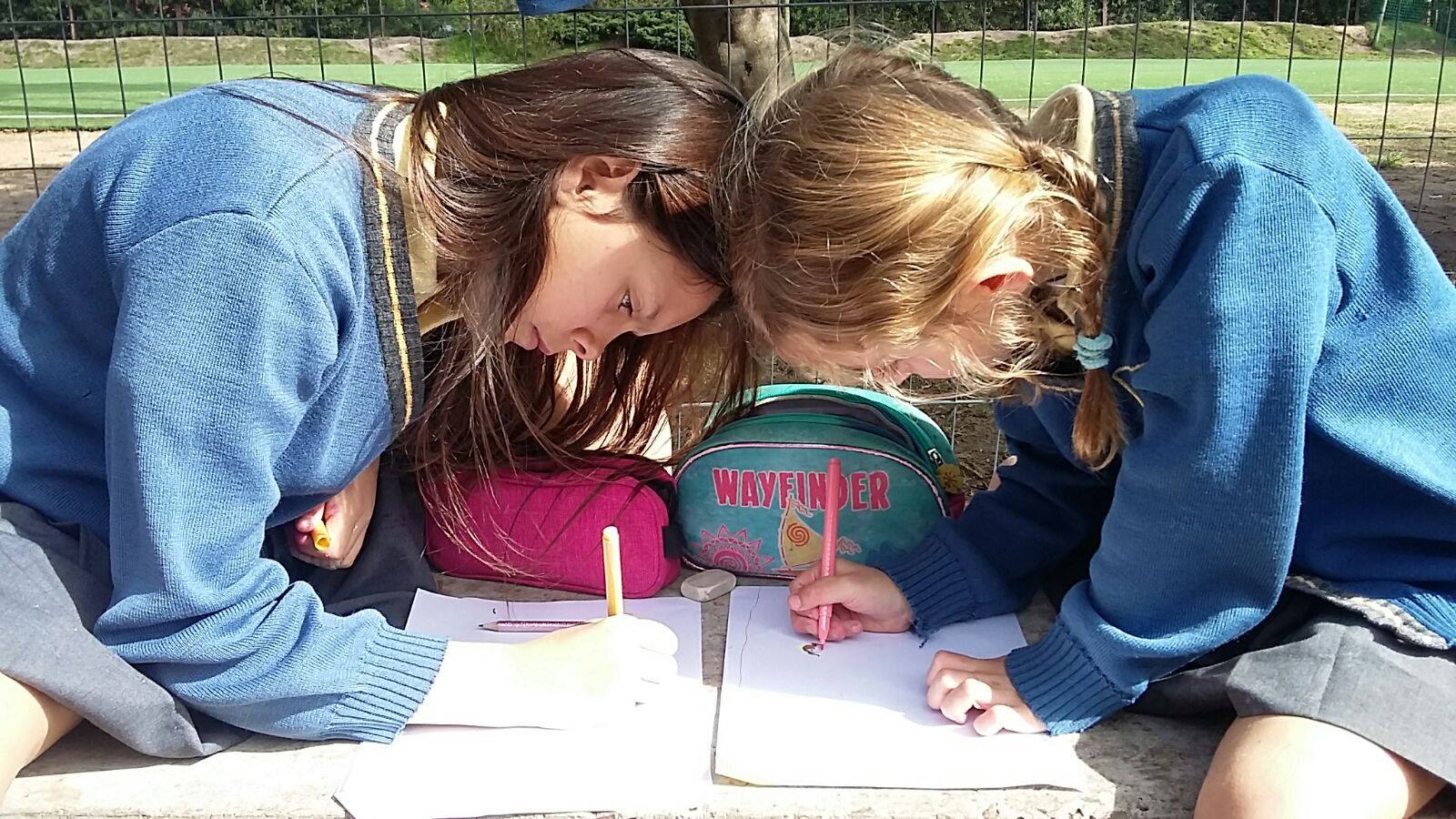Educación para la Paz